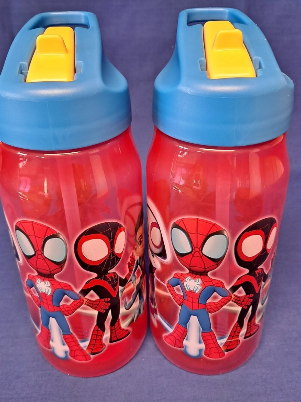 Lot Disney Kids Travel Cup, Water Bottle & Bowl The Cup has Built-in Straw The B